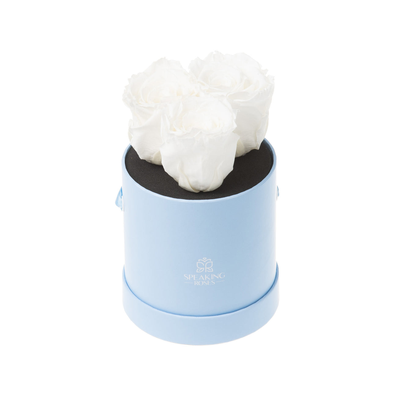 Trivelle Bloom
